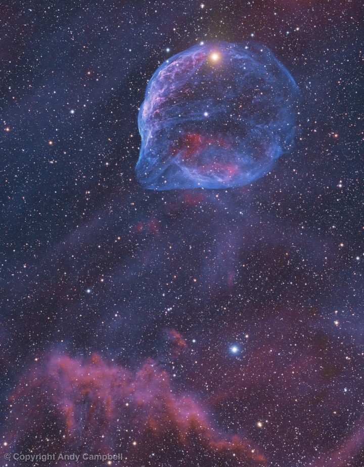 SH2-308 Dolphin nebula bicolour